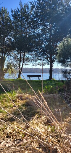 no to pstryk 🌲🌲 spacerowo 📸