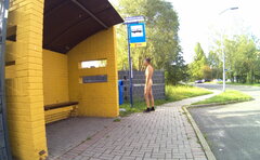 20220825_080833A.mp4_snapshot_00.39.400.jpg