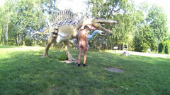 20170830_000002A.mp4_snapshot_00.22.860.jpg