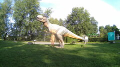 20220825_083740A.mp4_snapshot_00.29.996.jpg