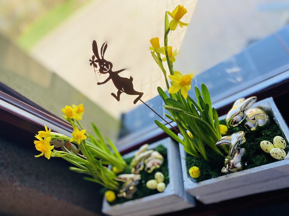 IMG_9162.jpeg - May_Day