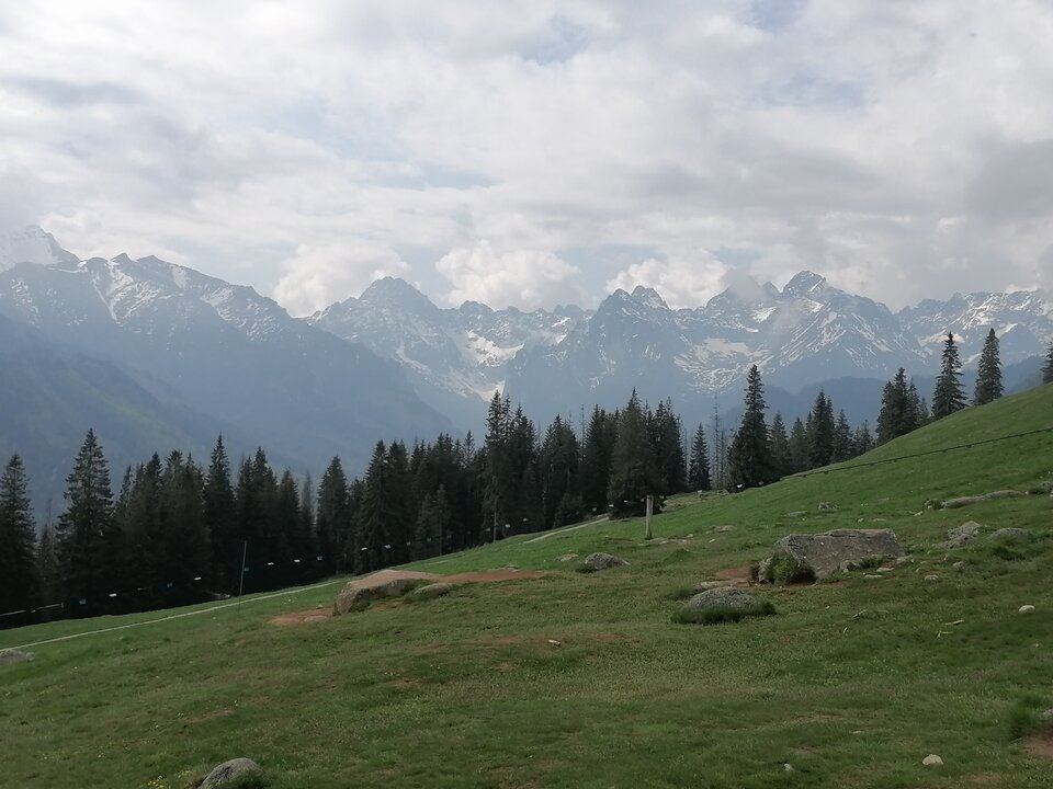 IMG_20230526_092113.jpg - TAURUS101