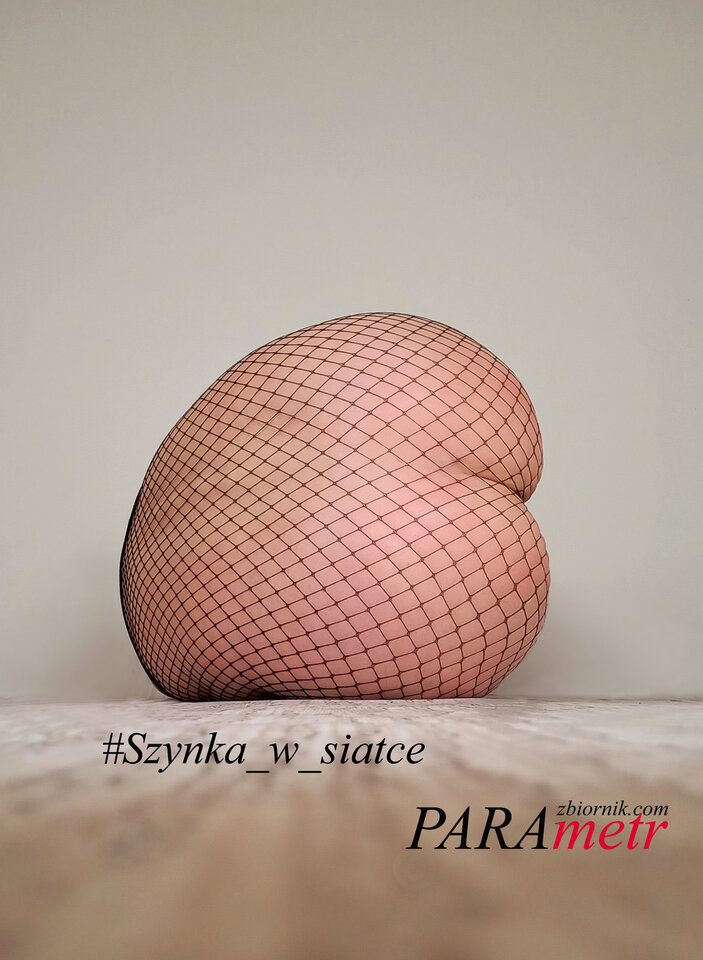 z2024 035.jpg - Parametr