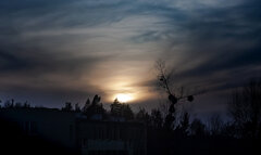 IMG_4941.JPG