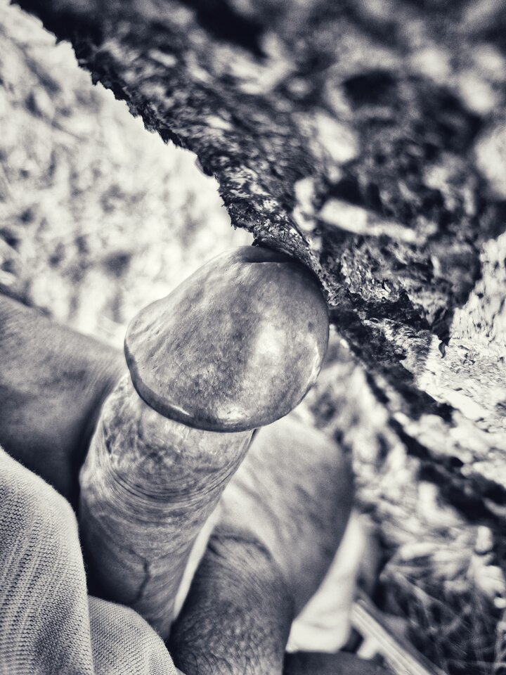 1000029473-01.jpeg - YourSong