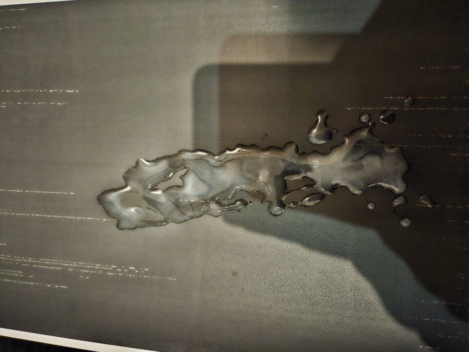 1000038457.jpg - martinxxy