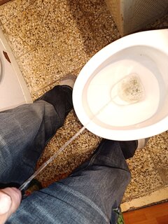IMG_20240328_163129.jpg