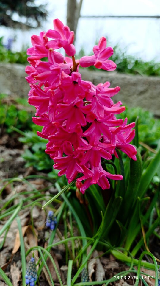 IMG_20240328_150755.jpg - adam_32