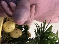 IMG_3153.jpeg