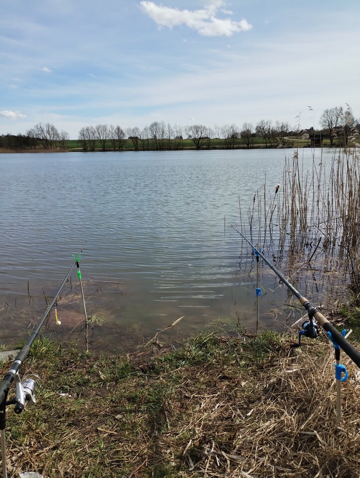 IMG_20240329_140620059.jpg - rafi07