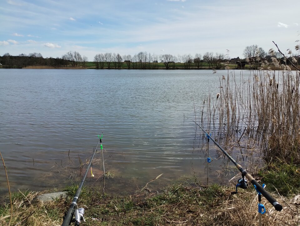 IMG_20240329_140629547.jpg - rafi07