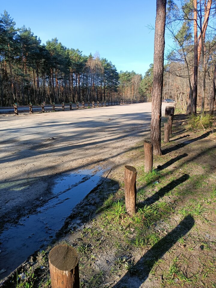 IMG20240330071952.jpg - UleglaMajeczka