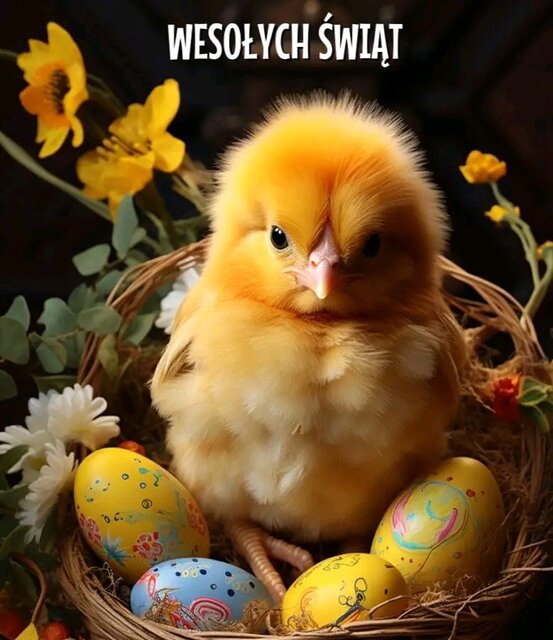 IMG-20240330-WA0003.jpg - Czarodzieje_alfa