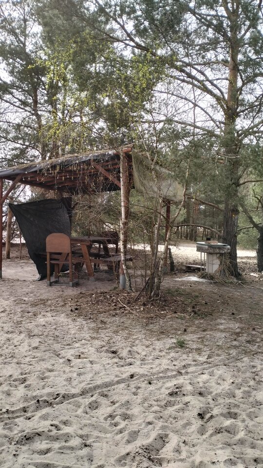 IMG20240331120055.jpg - josef1975