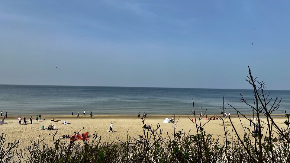 Stegna.jpeg - Sexoludy