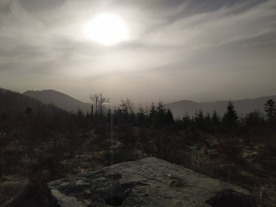 IMG_20240330_071003.jpg - LubiePocichu