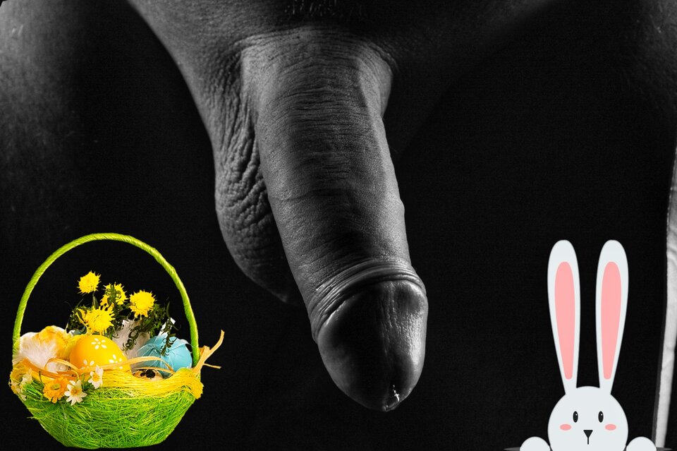 1711823280715-01.jpeg - zatraceniec