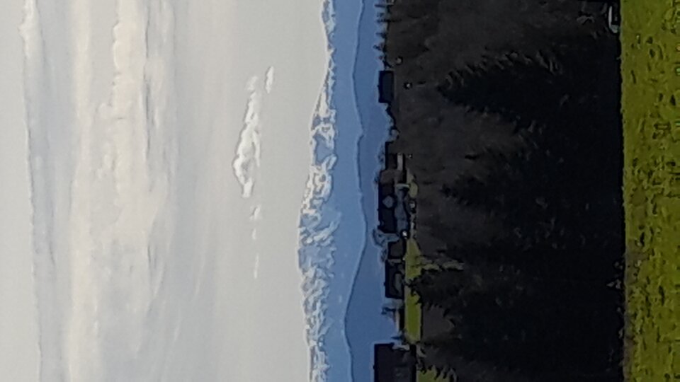 IMG-20240329-WA0003.jpeg - Czarodzieje_alfa