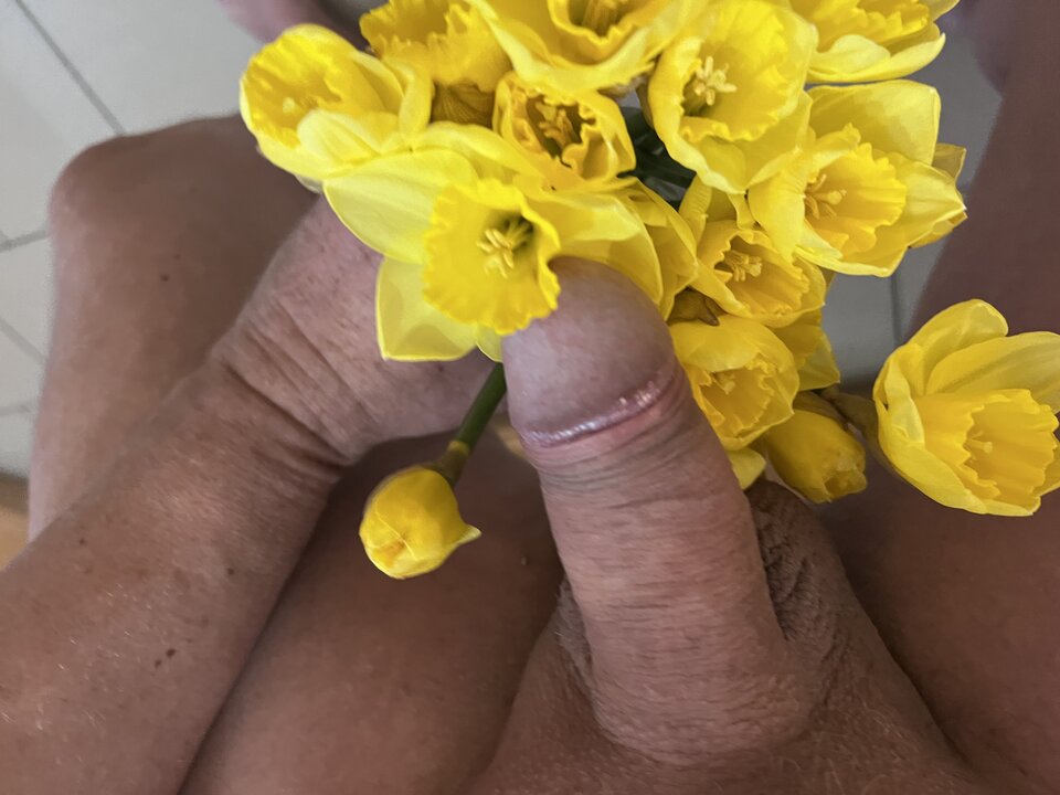 IMG_3363.jpeg - nrw670n