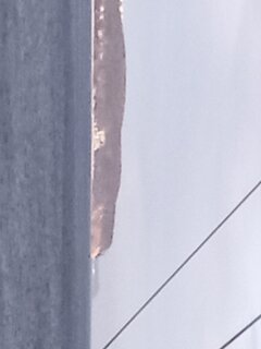 IMG_20240121_115301.jpg