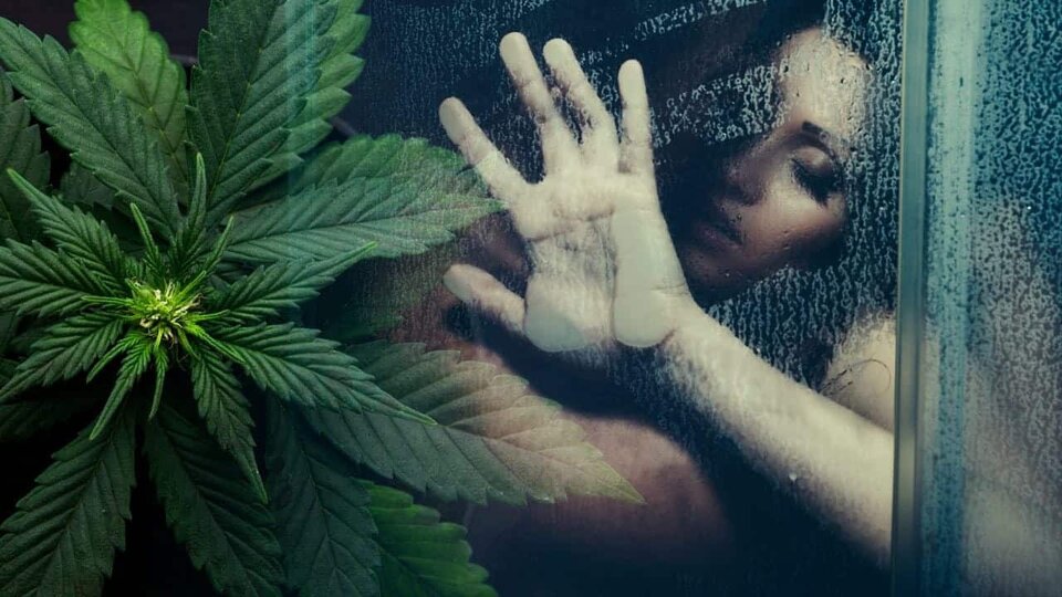 13-fun-facts-weed-sex-1.jpeg - Truskawkowoo