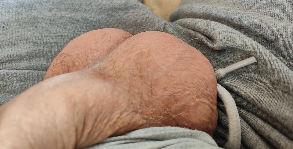 1000014415.jpg - jogan