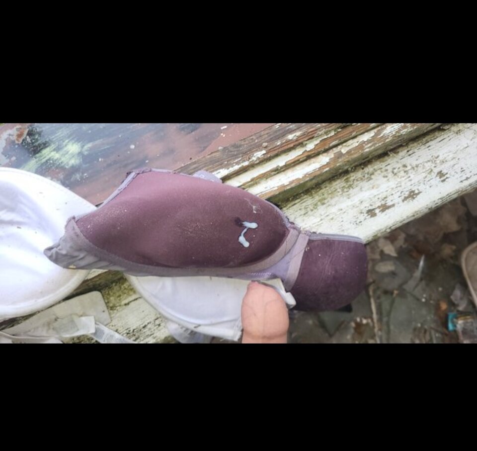 Screenshot_20240125_183517_Samsung Internet.jpg - SpuszczamSieWMajtki