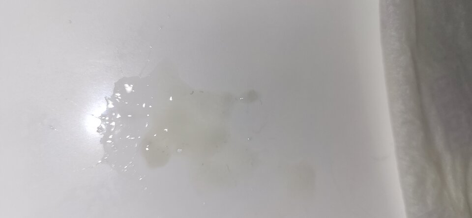 20230929_113714.jpg - SpuszczamSieWMajtki