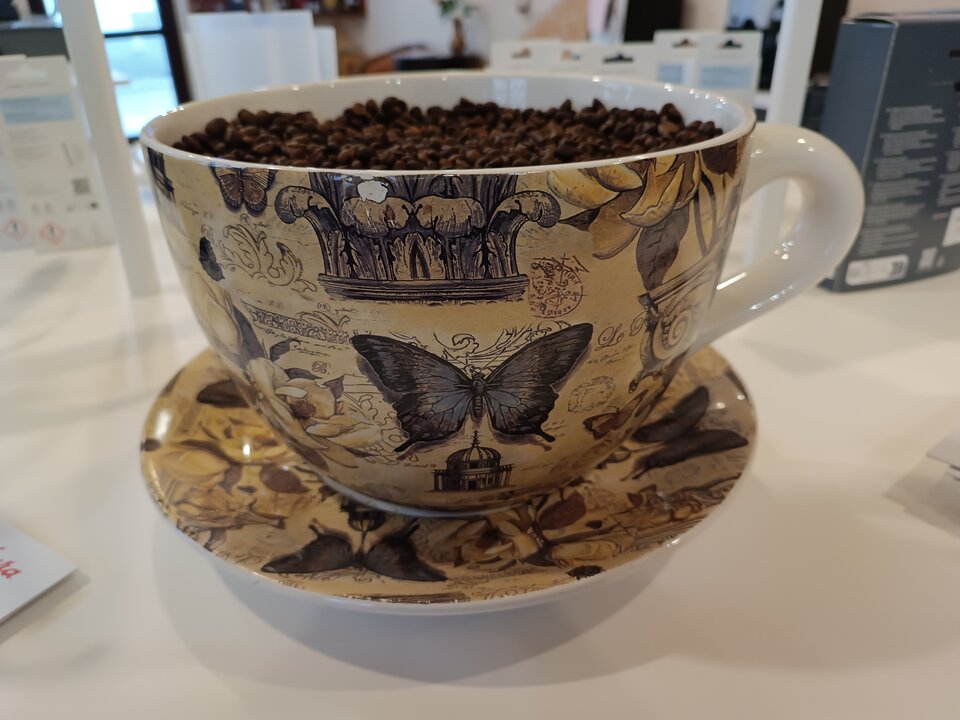 IMG_20240402_162150.jpg - Maybe_with_us