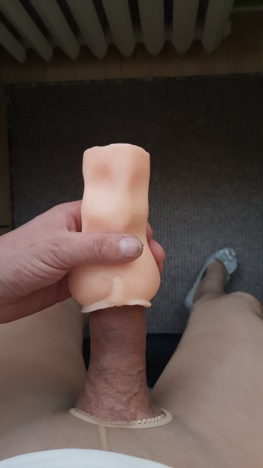 20240401_062656.jpg - bruno1981