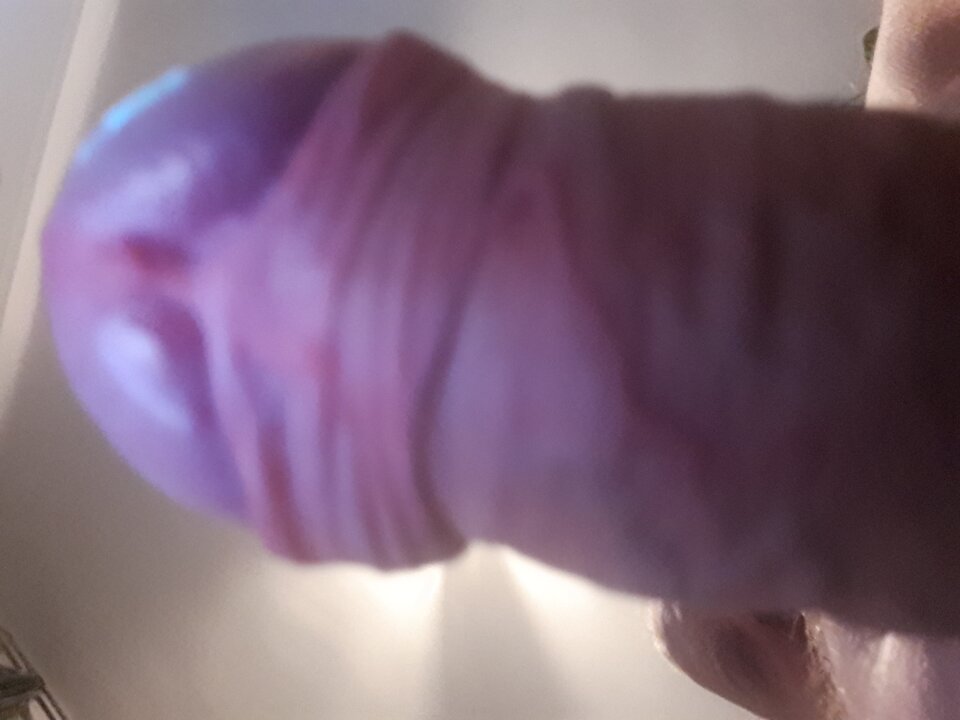 17120912110441144231906752211409.jpg - Bzzzzzzzzzzzz