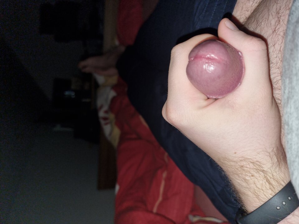 20240403_044335.jpg - dominik9677777