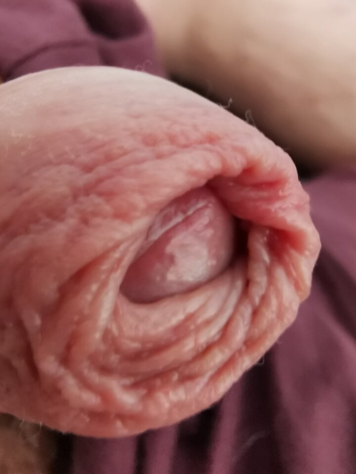 IMG_20240403_140538.jpg - Zi0001