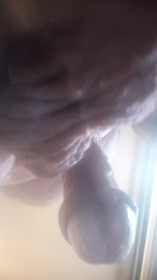 20240403_151831.jpg - robekBi