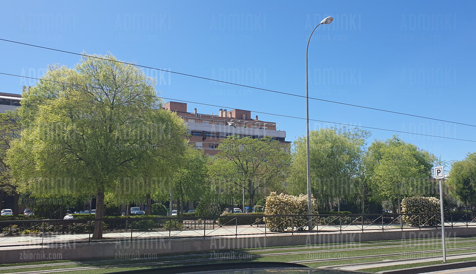 Wiosna🇪🇸🇪🇸🇪🇸🇪🇸🌞🌞🌞 - Adminki