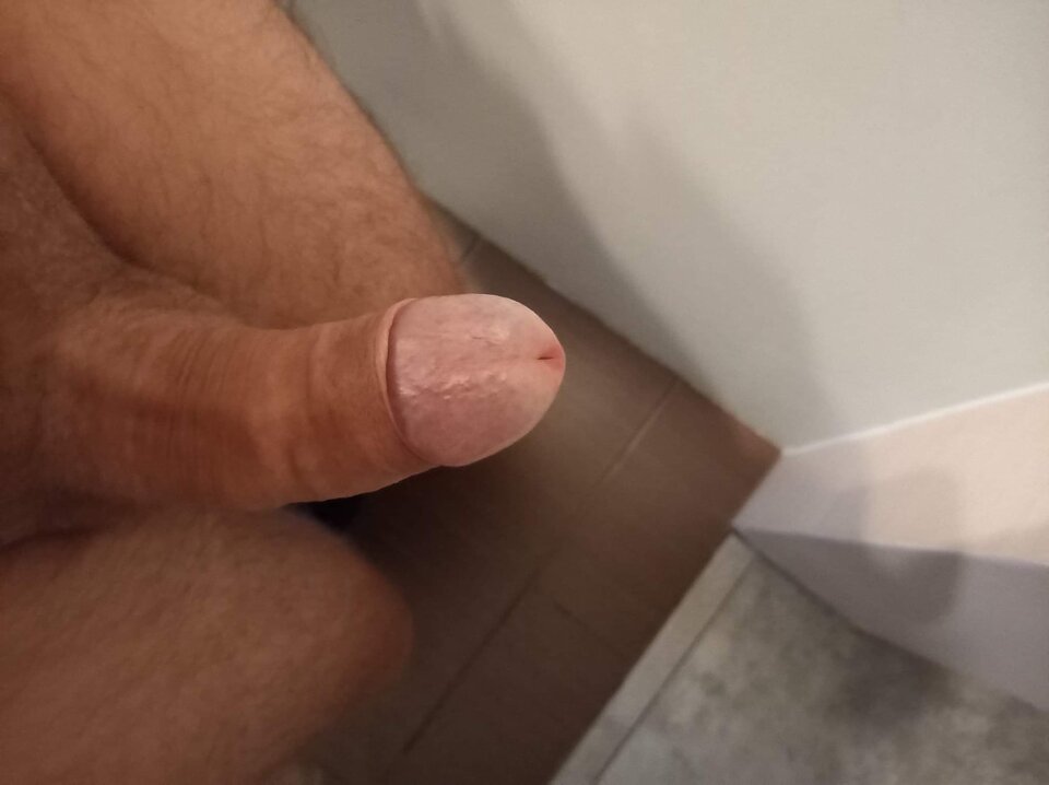 Messenger_creation_1618405848611222.jpeg - Pupunio