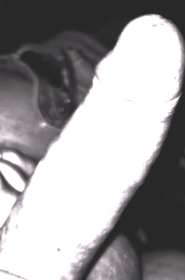 IMG_20240403_210438.jpg - fanwidokuzokna