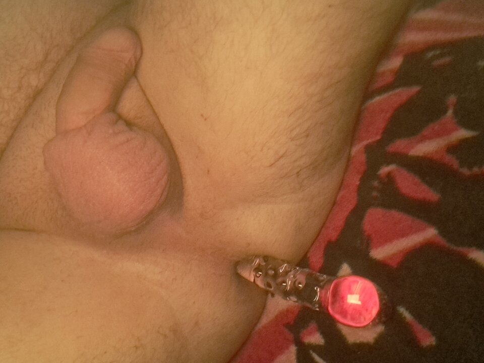 1000019694.jpg - rafal1410