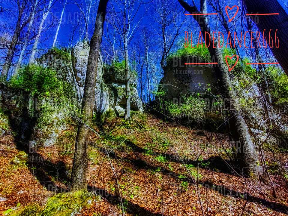 1000032313-01.jpeg - Bladedancer666