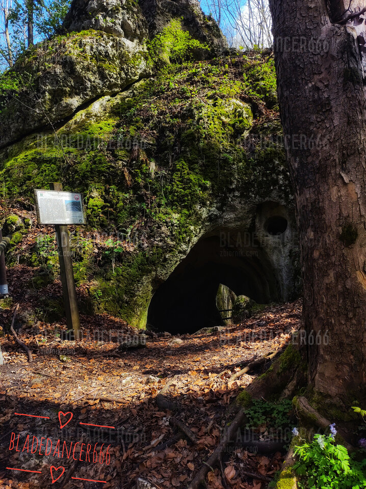 1000032308-01.jpeg - Bladedancer666