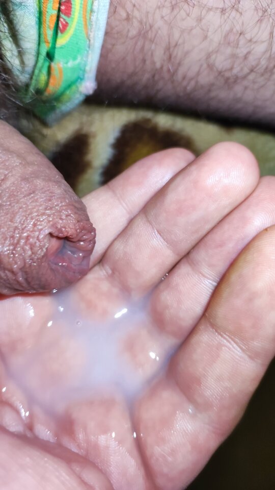 IMG_20240404_005038.jpg - PuszystyLubuskie