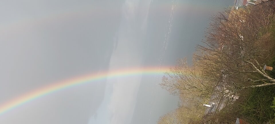 1000002729.jpg - mili19689