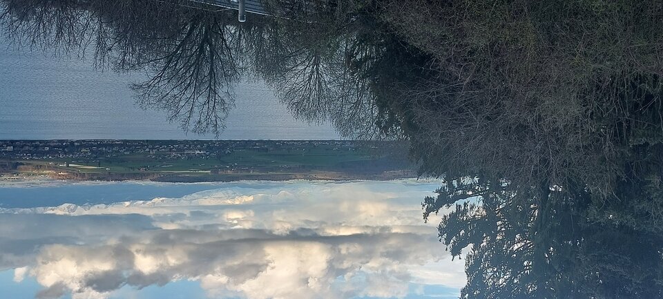 1000002726.jpg - mili19689