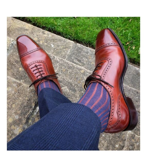 6ba8ebd5d34850279157f45405b7666d.jpg - onscorpico