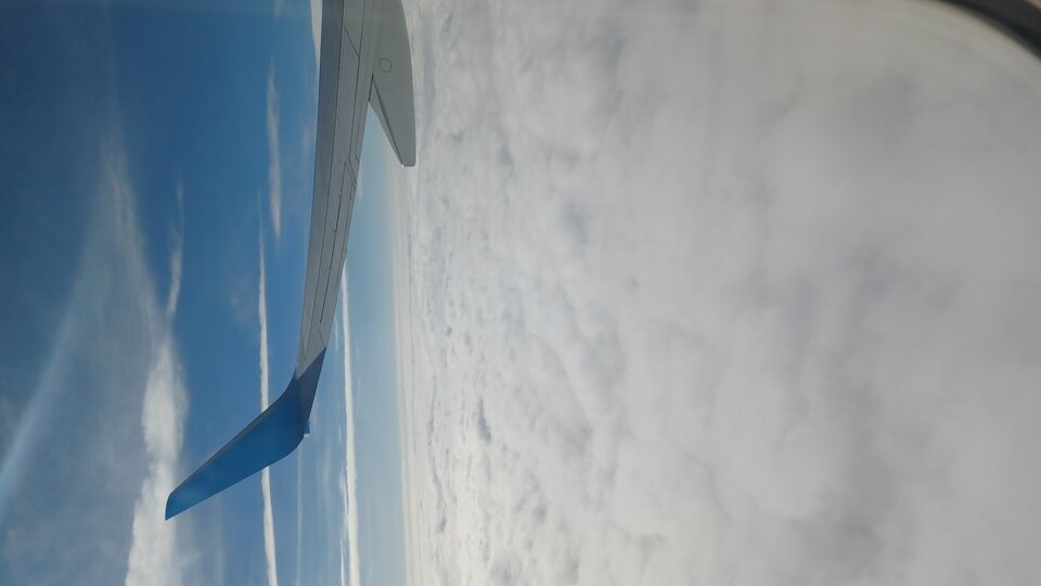 20220608_080537.jpg - KARLOSNN