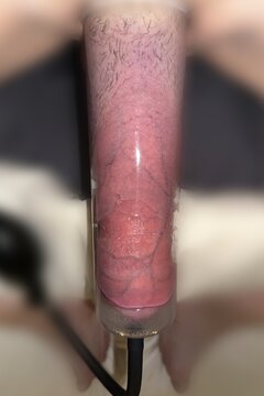 Nowy prezencik 03.jpg