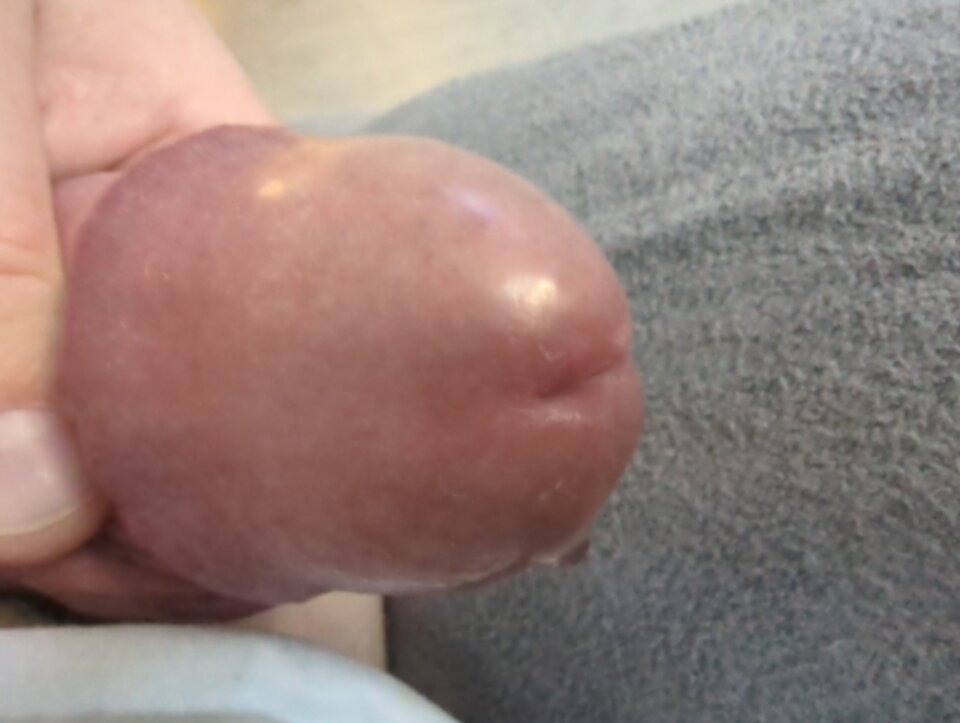 17122965860086218689929549281955.jpg - aaddaammbi