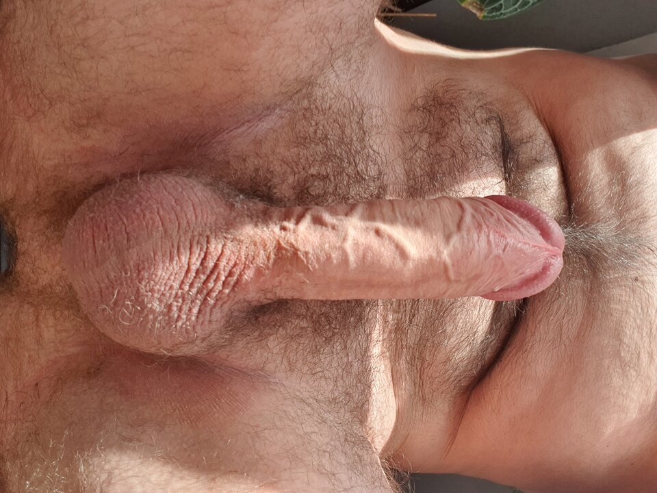 17123114385407052100611022749733.jpg - Cosniecos123