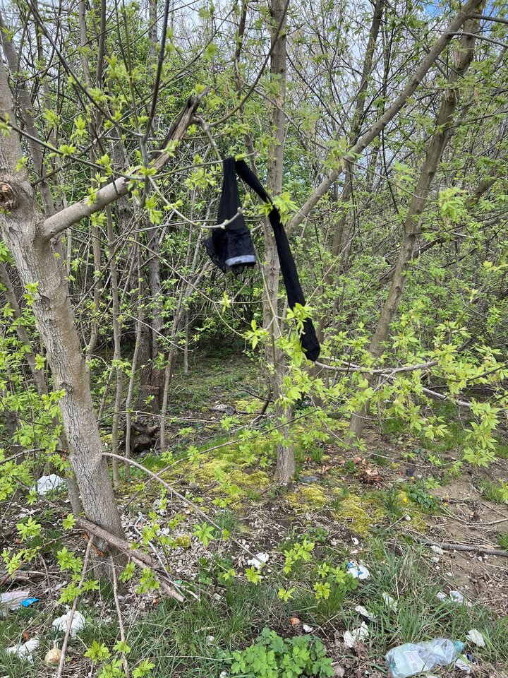 IMG_0275.jpeg - adaponczoszka25