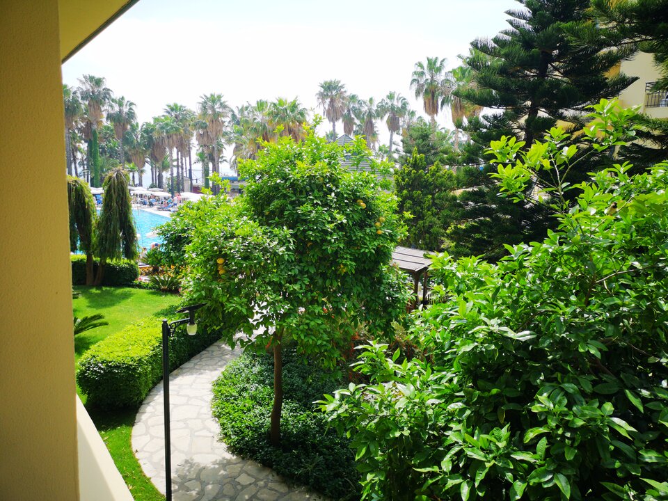 1000000304.jpg - otwarci40